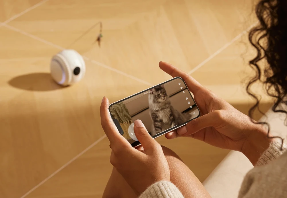 pet surveillance camera