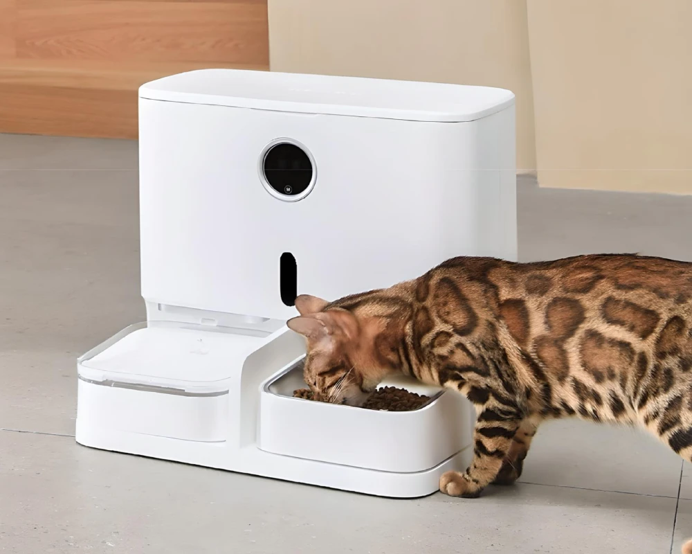 best automatic pet feeder with camera
