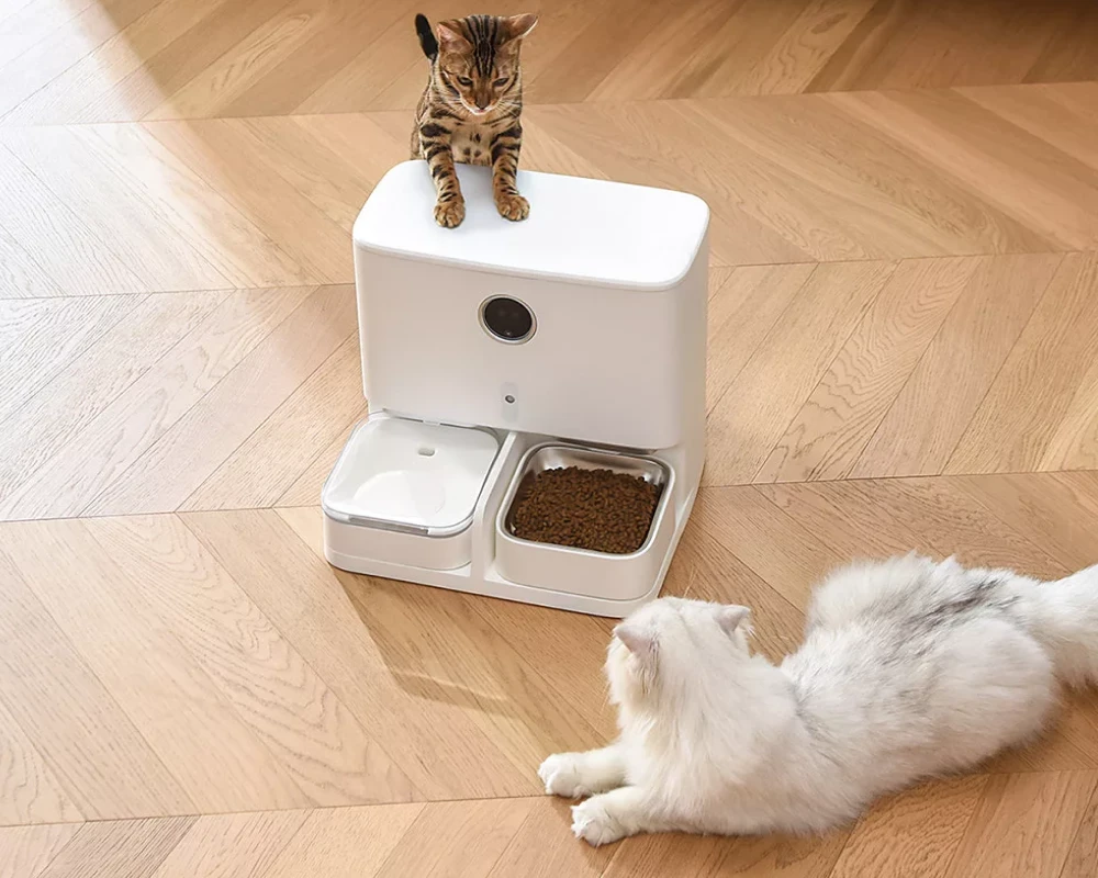 automatic pet feeder multiple cats