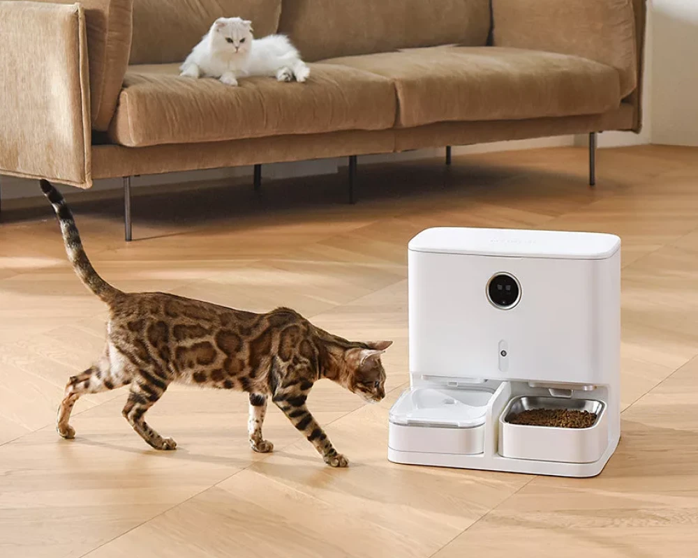 best automatic pet feeder with camera