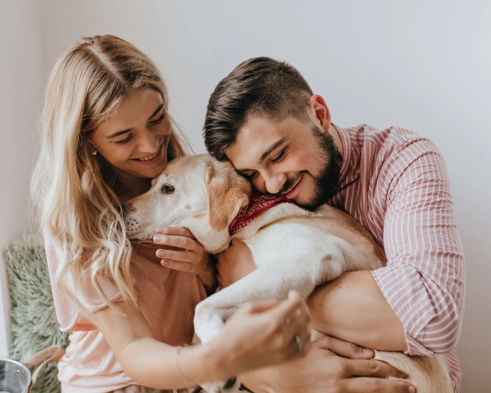 automatic pet feeder and waterer
